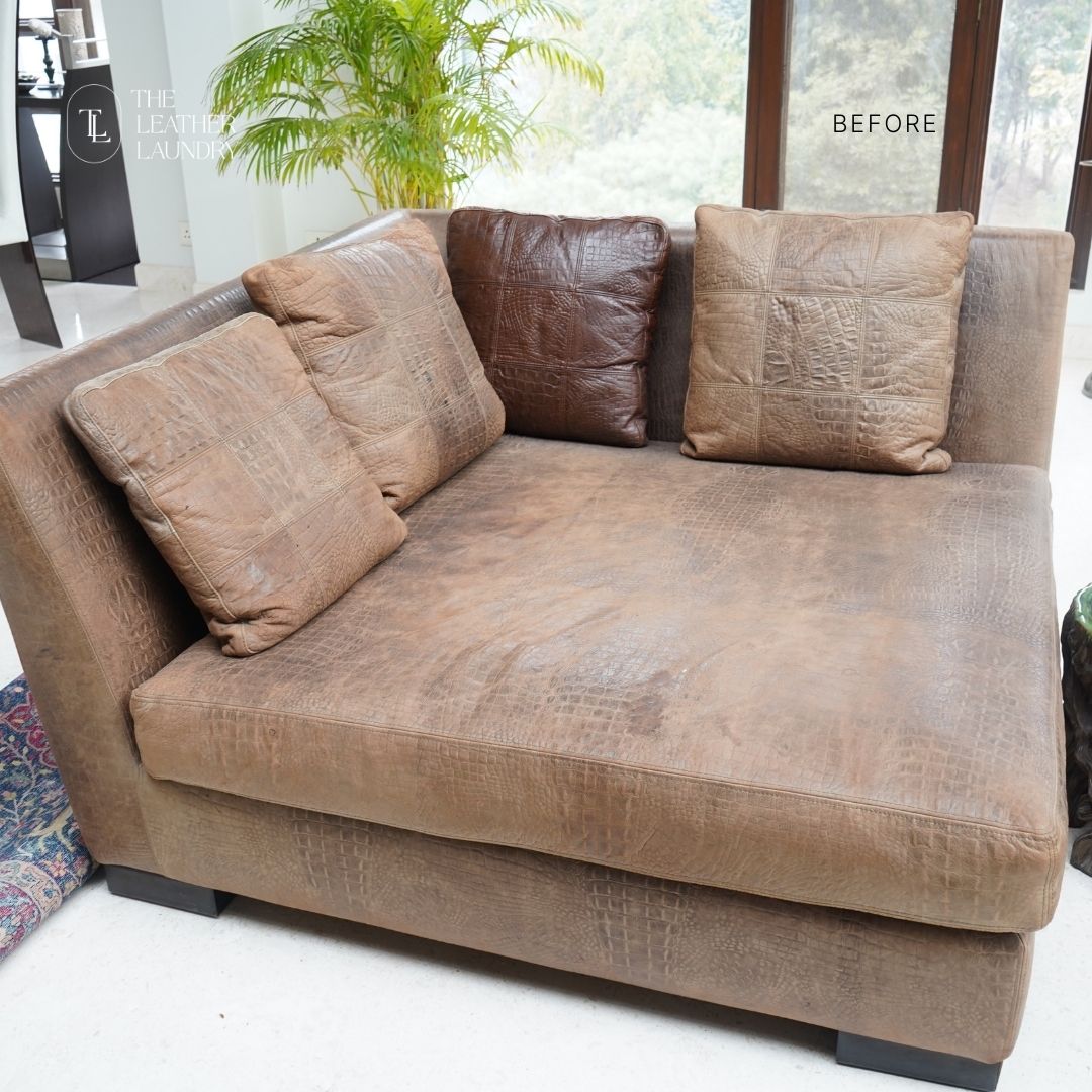 leather sofa dry cleaning service near me  
